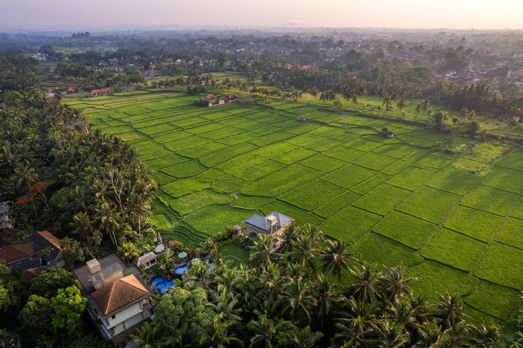 Gynandha Ubud
