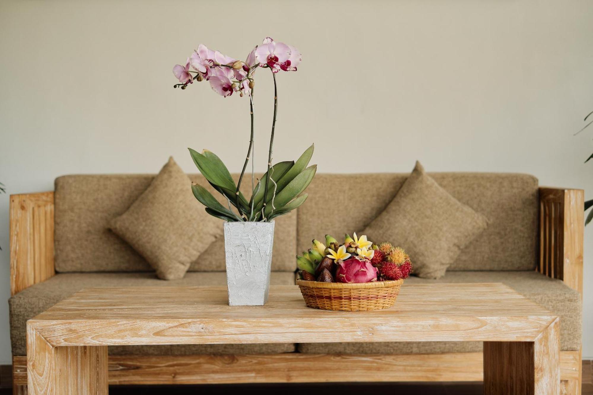 Gynandha 4* Ubud
